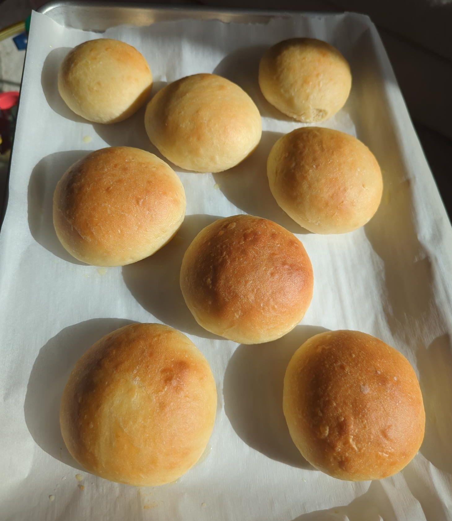 Burger buns